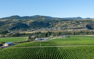 Where North Meets South: The Secrets of the Thompson Valley Terroir