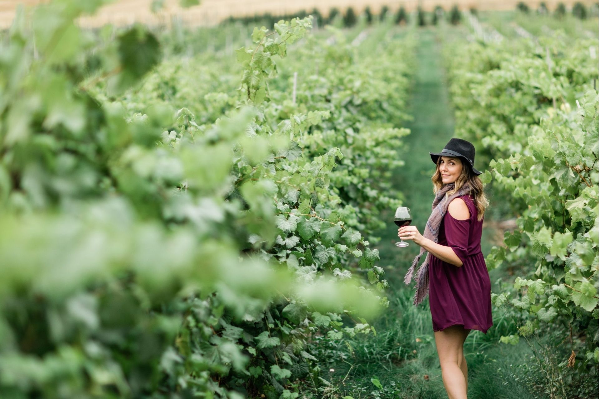 Visit Us Kamloops Wine Trail