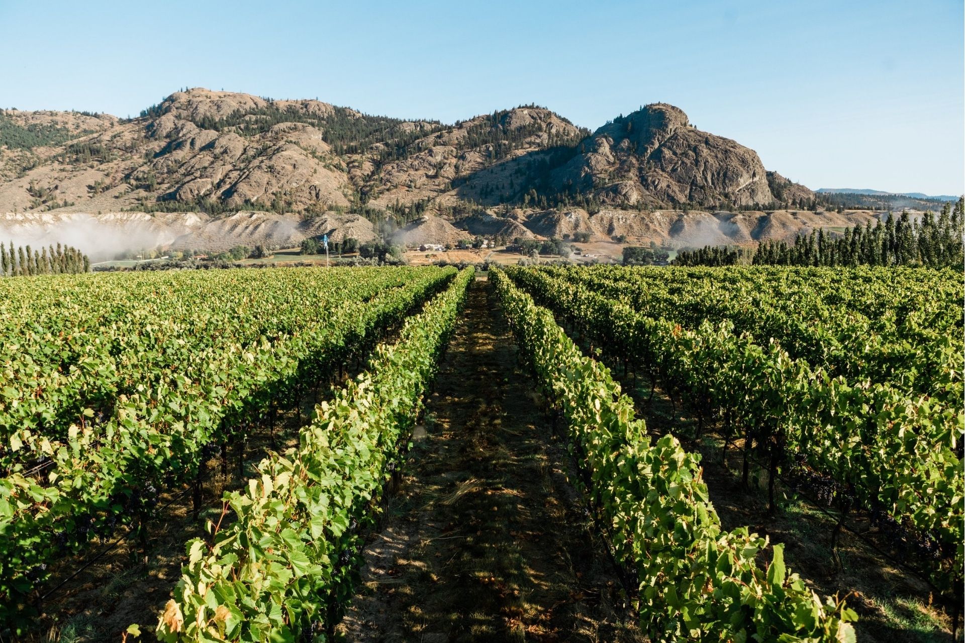 About Us Kamloops Wine Trail