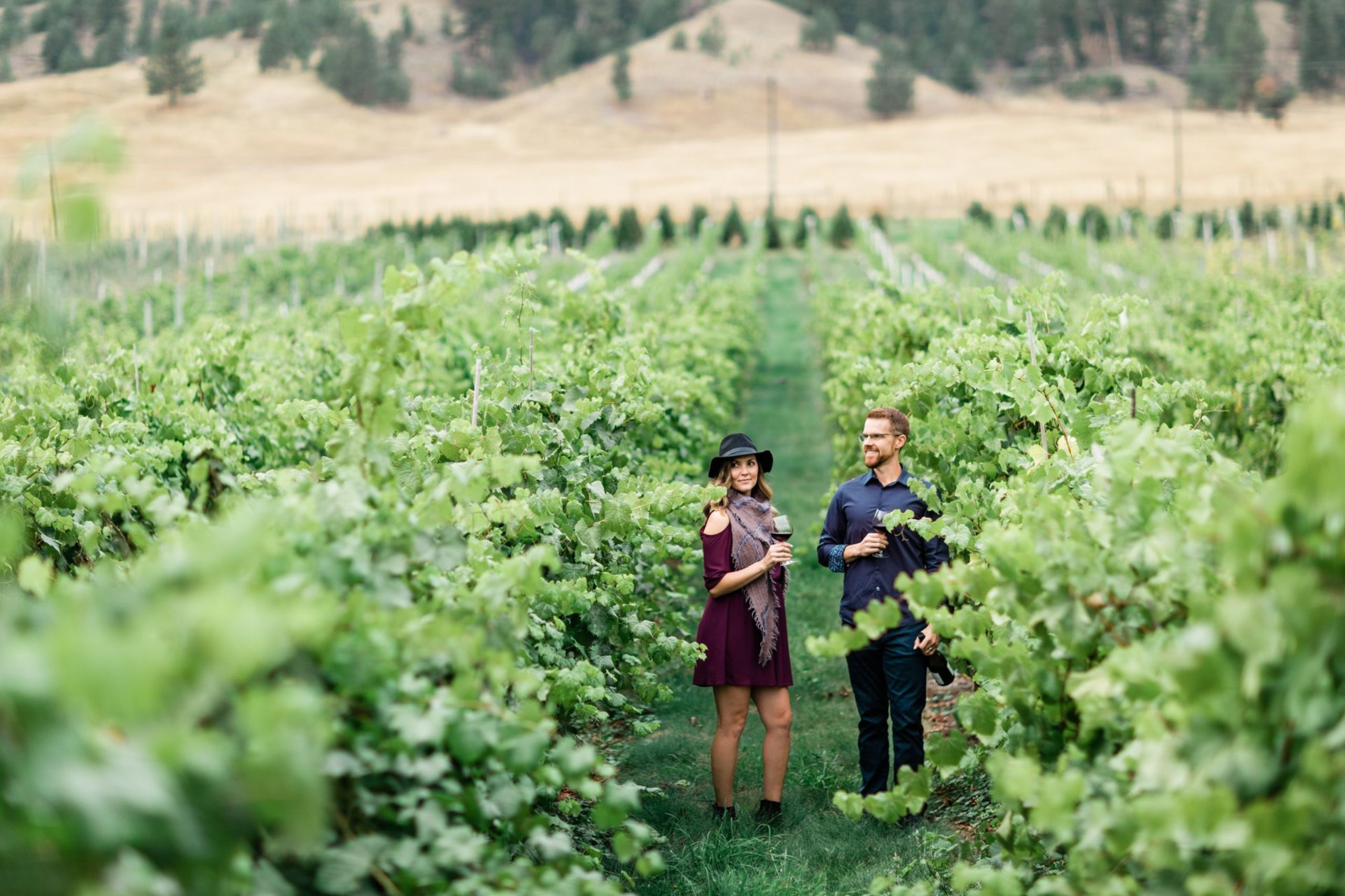 Privato Vineyard & Winery Kamloops Wine Trail