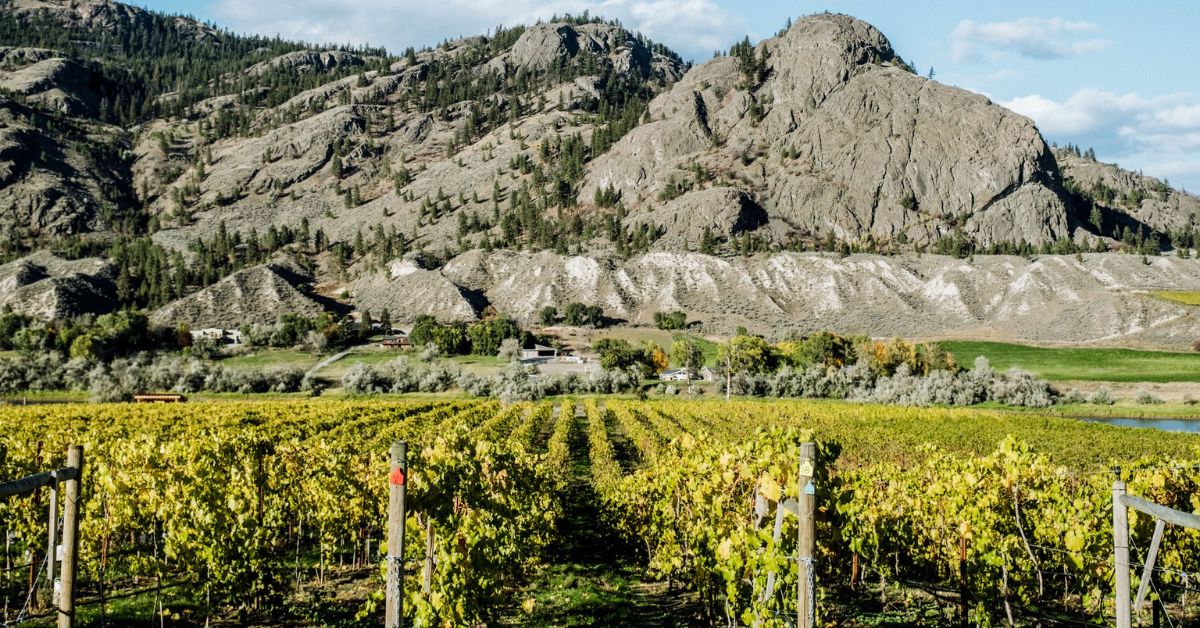 Embracing Autumn on the Kamloops Wine Trail: 5 Reasons to Make the Journey