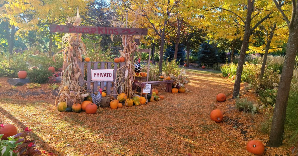 Privato Pumpkin Patch | Sept 30 – Oct 29, 2023